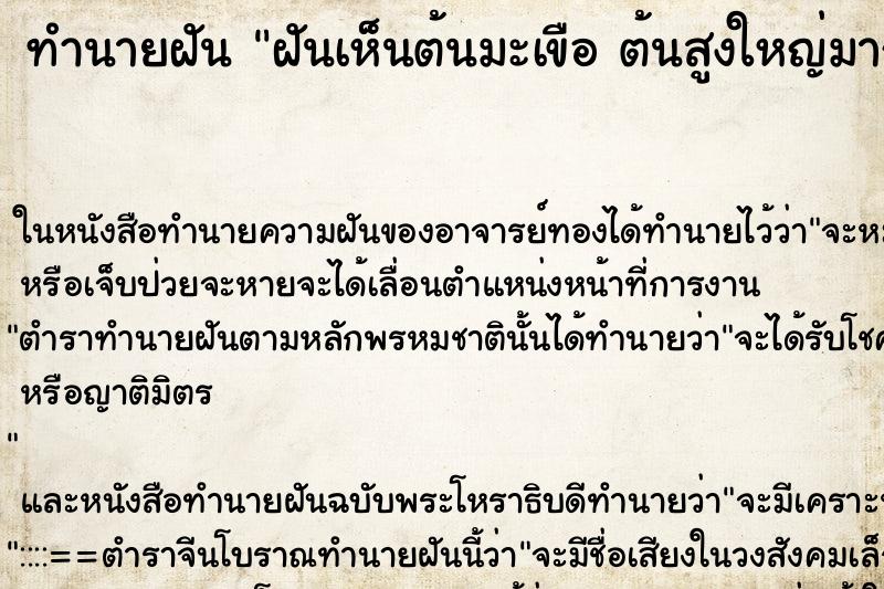 ทำนายฝันทำนายฝันฝันเห็นต้นมะเขือต้นสูงใหญ่มากคืนอาทิตย์